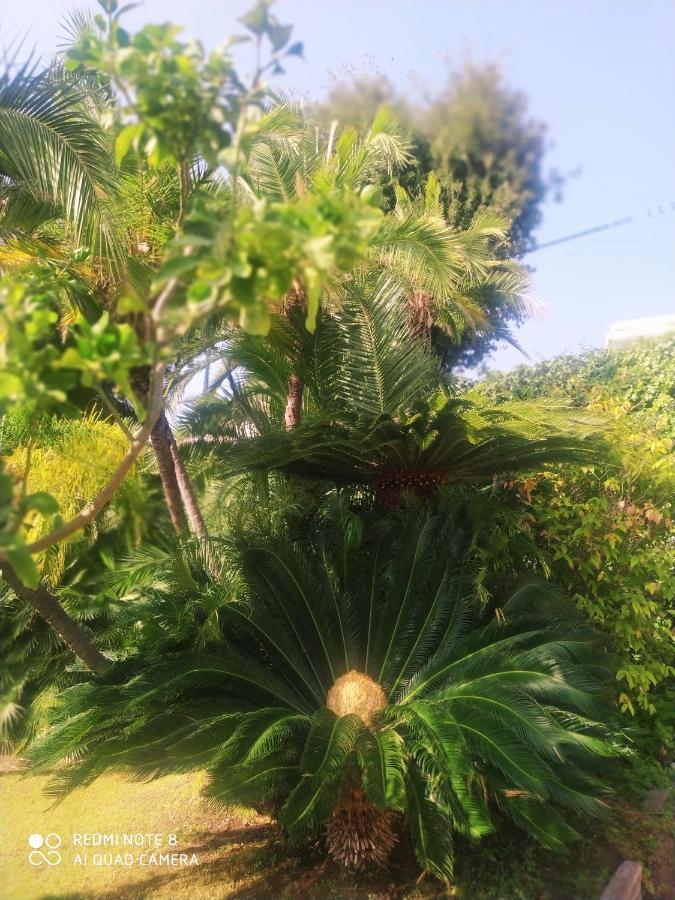 Pergolato Suite San Remo Zewnętrze zdjęcie