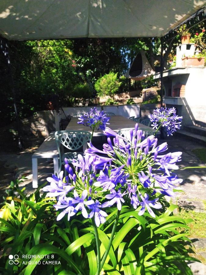 Pergolato Suite San Remo Zewnętrze zdjęcie